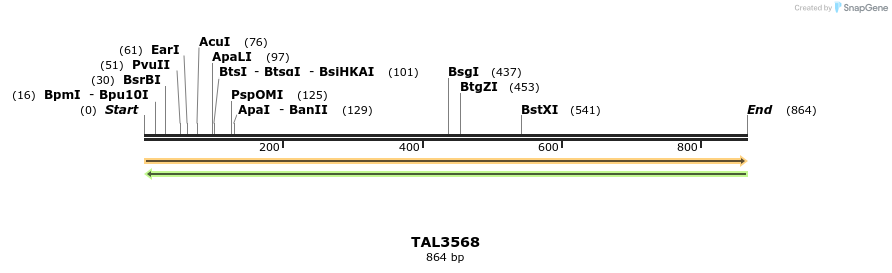 69155_map