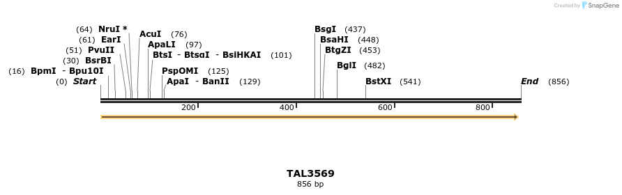 69156_map