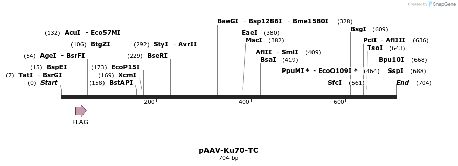 69157_map