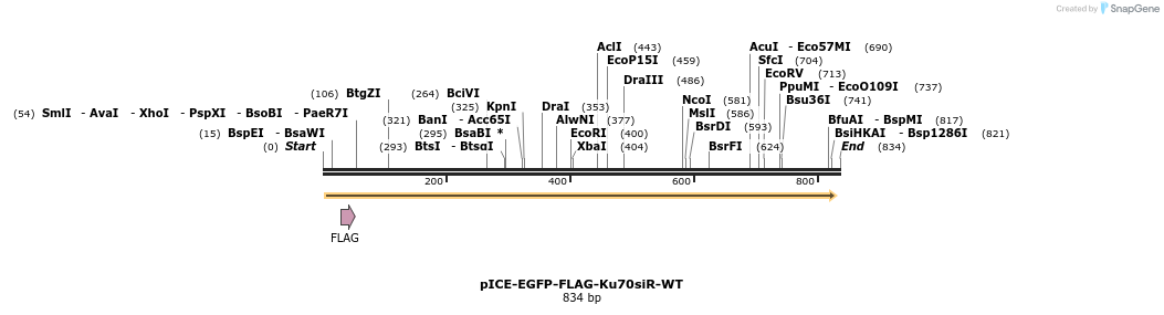 69160_map
