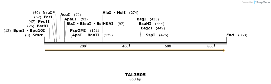 69163_map
