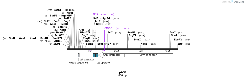 69166_map