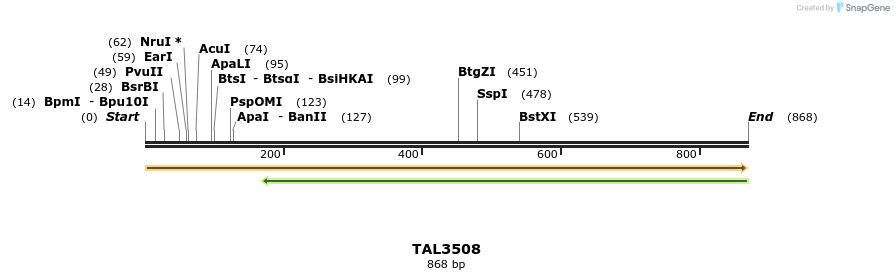 69167_map