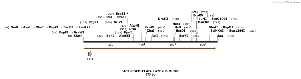 69169_map