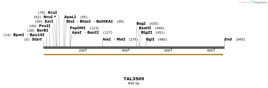 69170_map