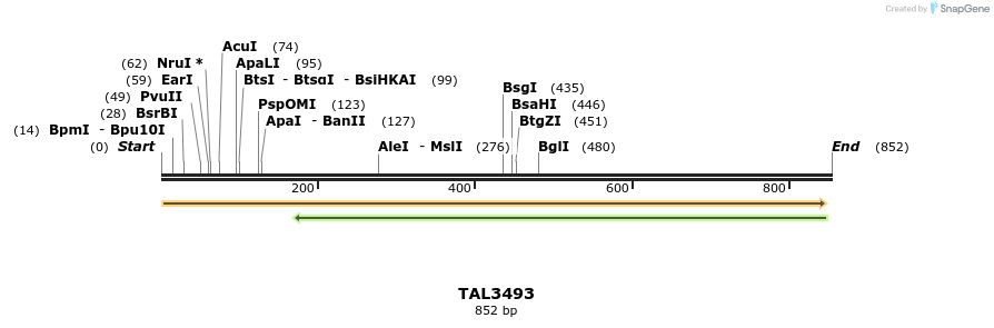 69172_map