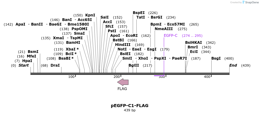 69177_map