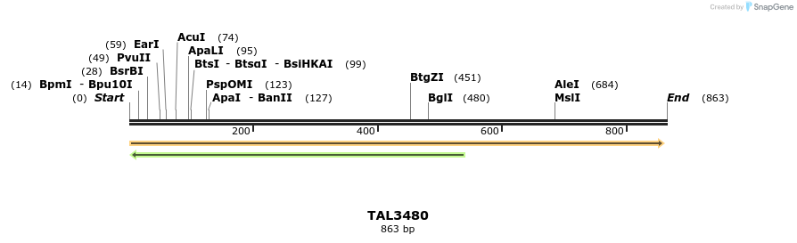 69178_map