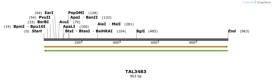 69181_map