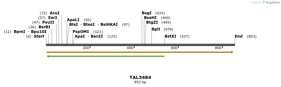 69182_map