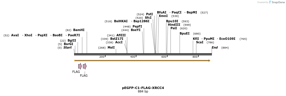69186_map