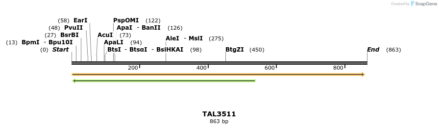 69187_map