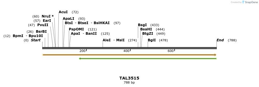 69191_map