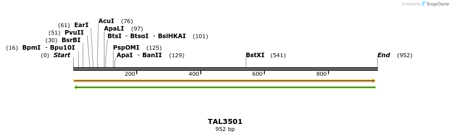 69196_map
