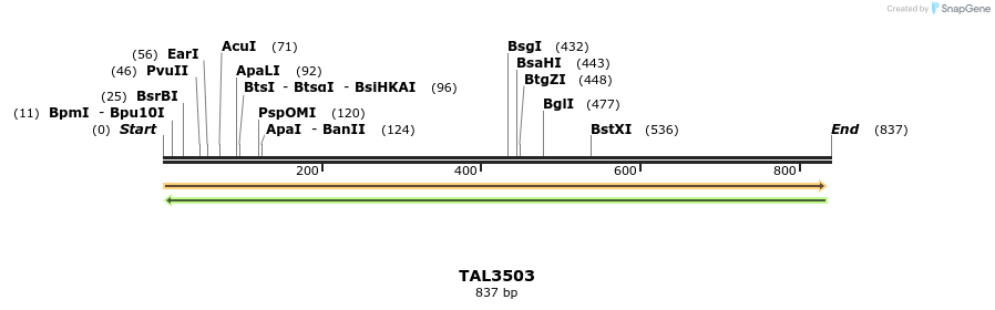 69198_map