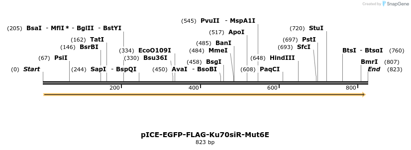 69201_map