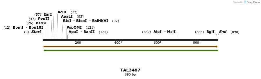 69204_map