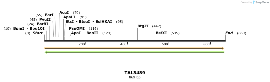 69206_map