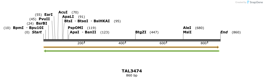 69216_map