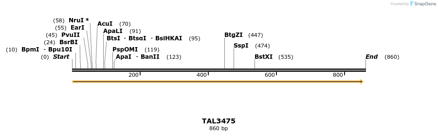 69217_map