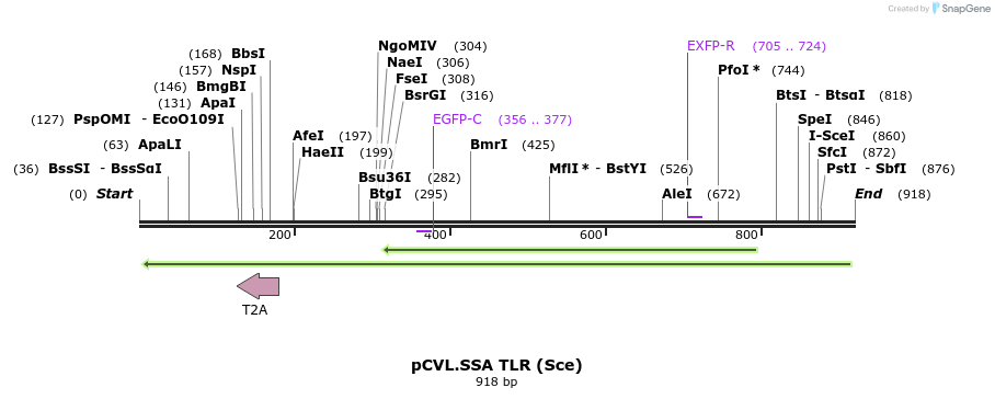 69218_map