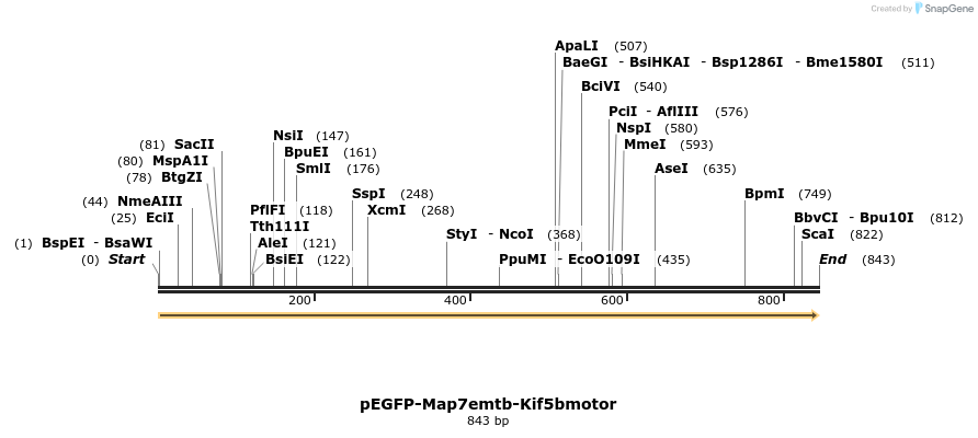 69221_map