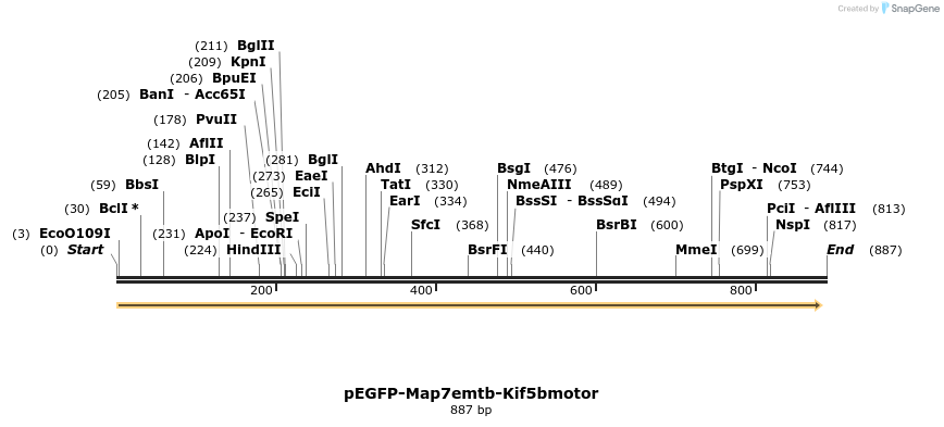 69222_map