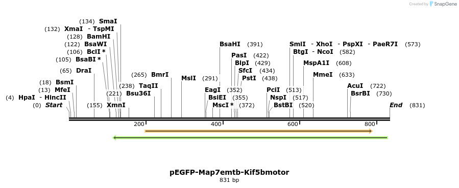 69223_map