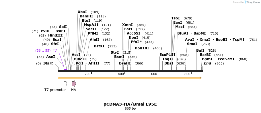 69249_map