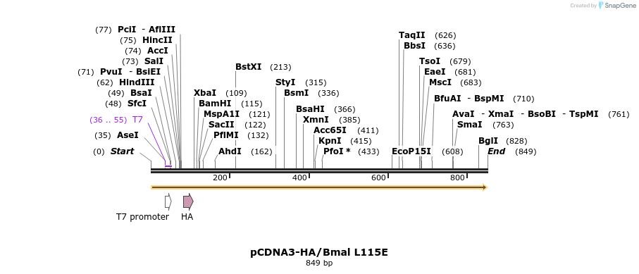 69250_map