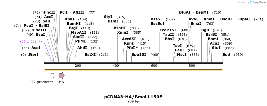 69251_map