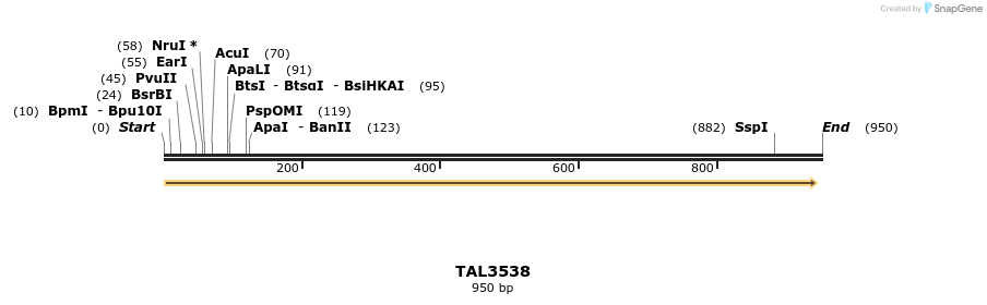 69277_map