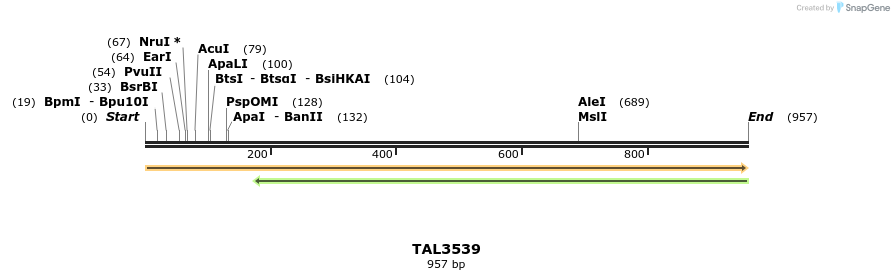 69278_map