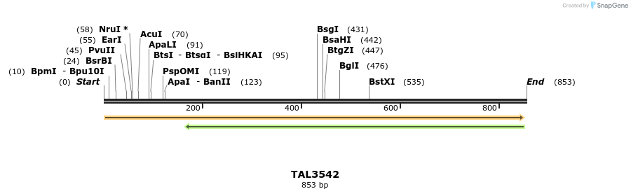 69281_map