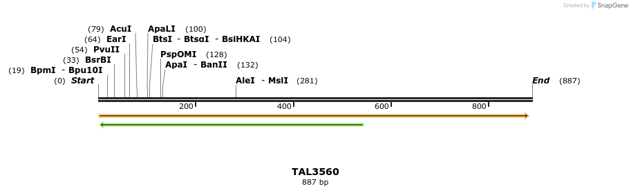 69285_map