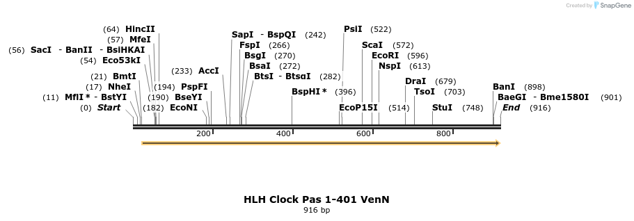 69316_map