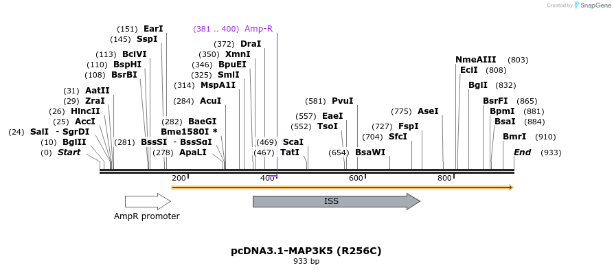 69345_map