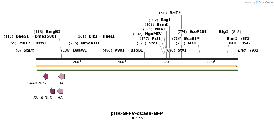 69346_map