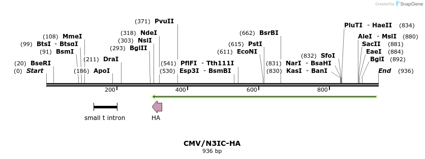 69353_map