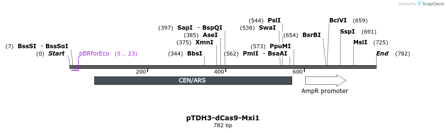 69356_map