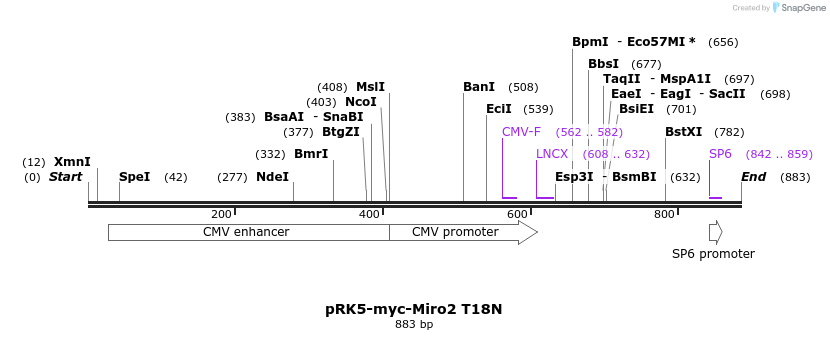 69361_map