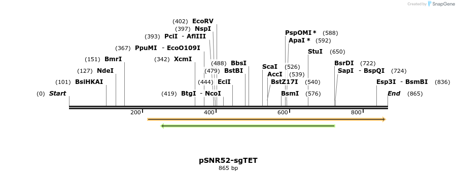 69398_map