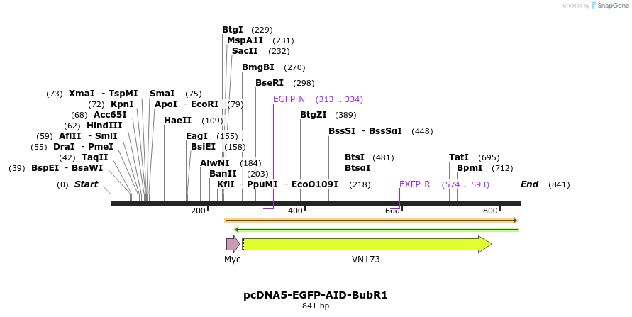 69403_map