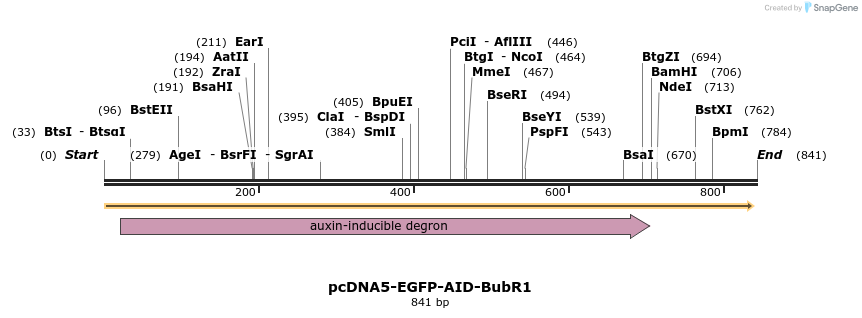 69405_map