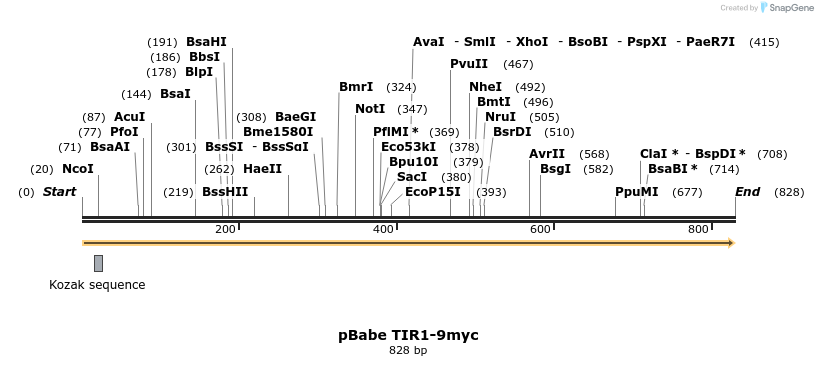 69407_map