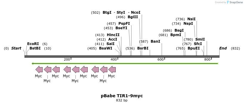69408_map