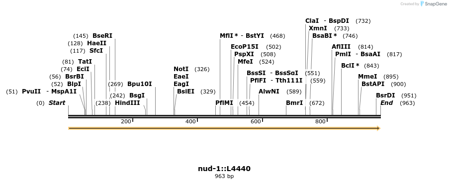 6942_map