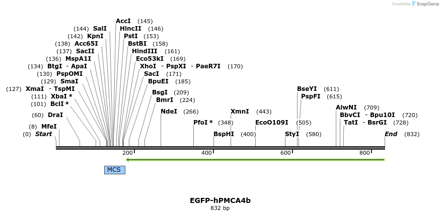 69421_map