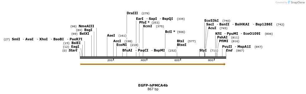 69426_map