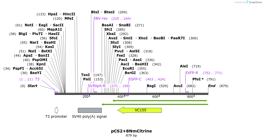 69433_map